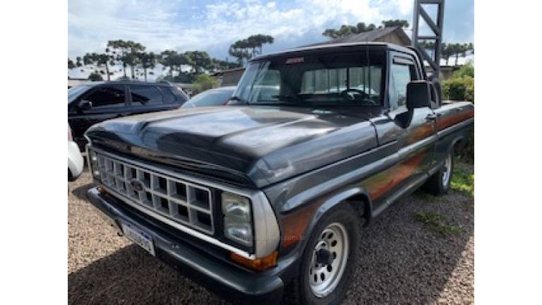 FORD - F-1000 - 1989/1990 - Cinza - R$ 75.000,00